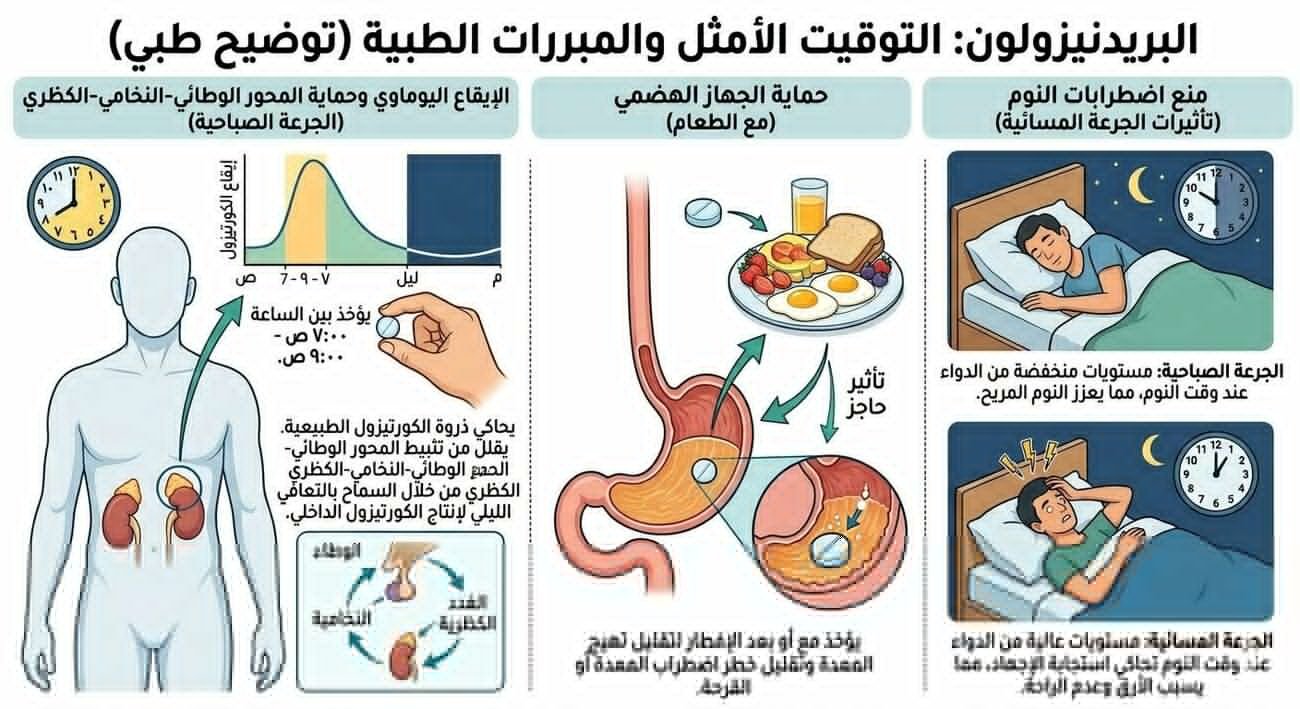 متين مفروض تاخد حبوب البردنسلون