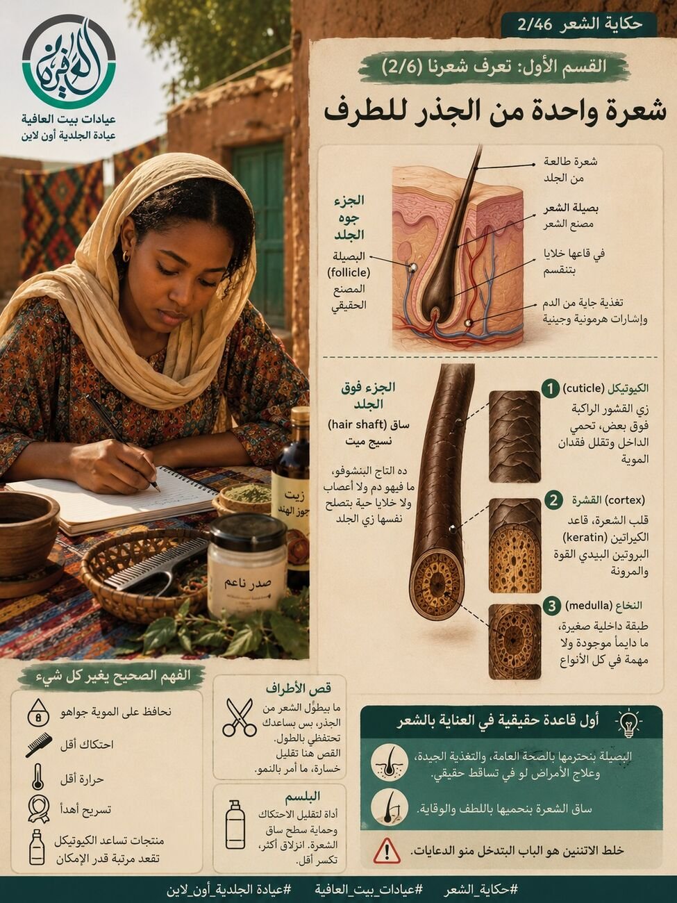 القسم الأول: نعرف شعرنا (2/6) - شعرة واحدة من الجذر للطرف